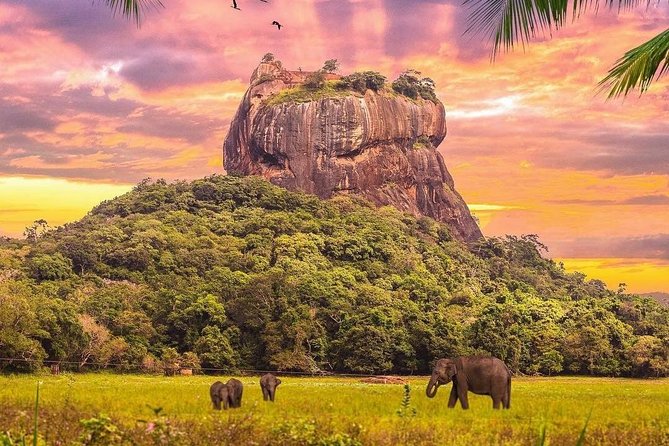 Sigiriya & Dambulla day tour